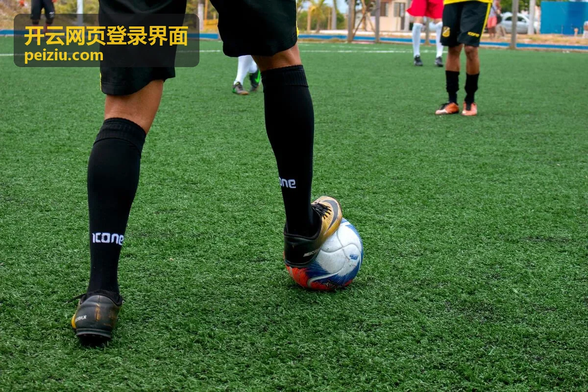开云网页登录界面客户端下载与安装入口