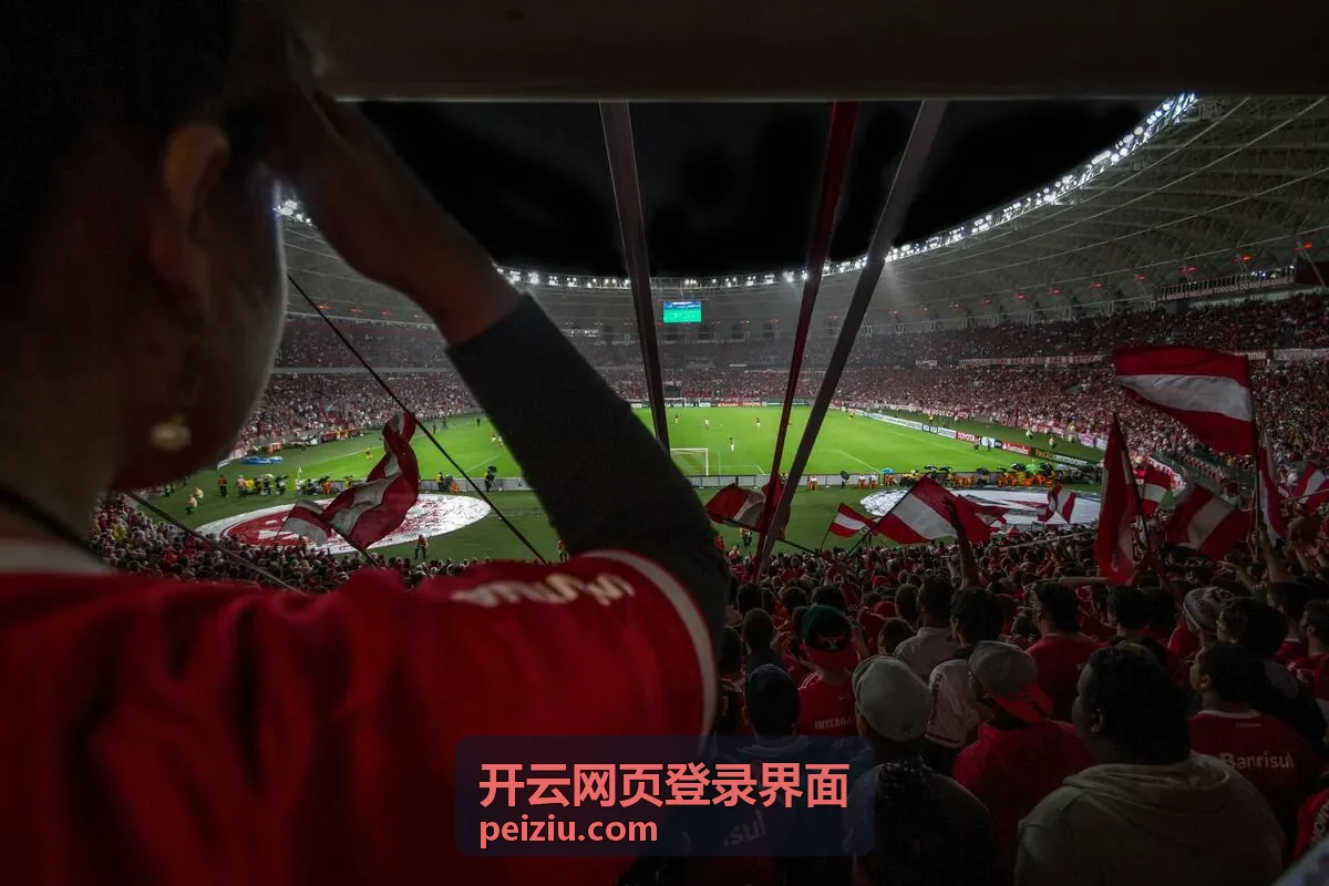 开云网页登录界面常见问题速查清单