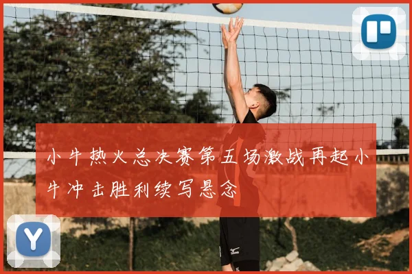 小牛热火总决赛第五场激战再起小牛冲击胜利续写悬念