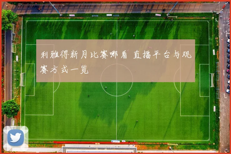 利雅得新月比赛哪看 直播平台与观赛方式一览