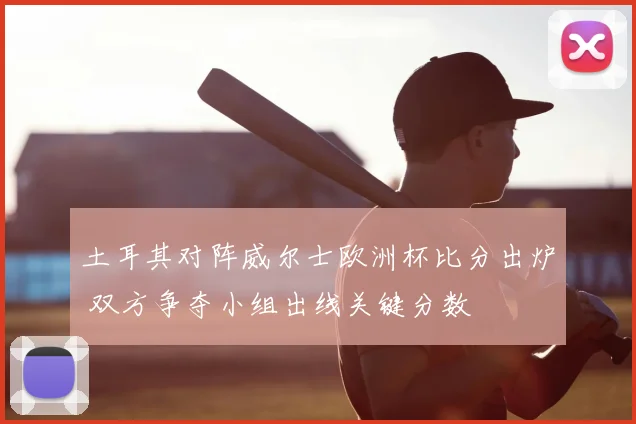 土耳其对阵威尔士欧洲杯比分出炉 双方争夺小组出线关键分数