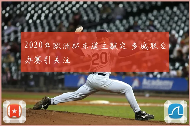 2020年欧洲杯东道主敲定 多城联合办赛引关注