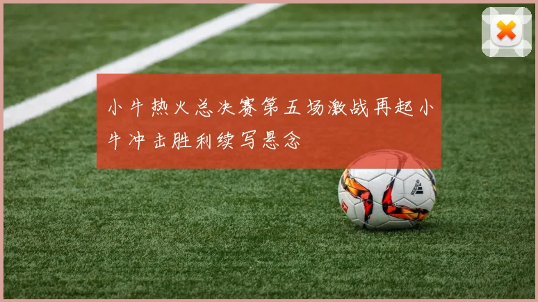 小牛热火总决赛第五场激战再起小牛冲击胜利续写悬念