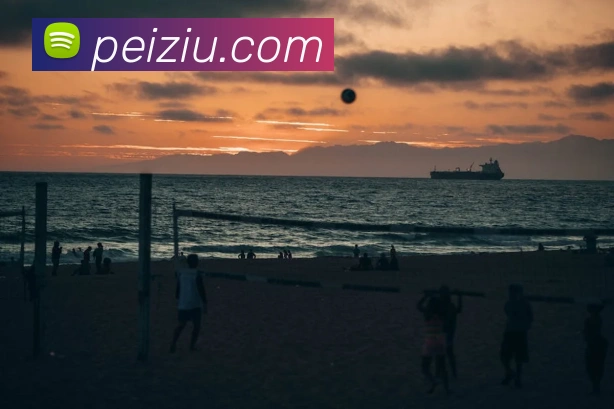 米兰体育网页官网服务体系